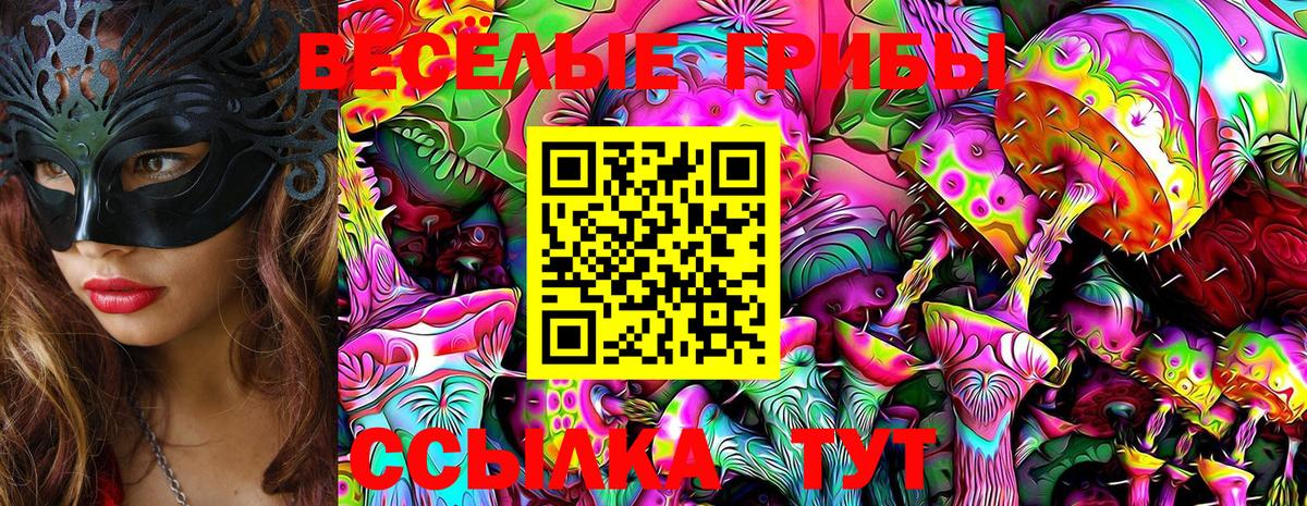 даркнет сайт  Псилоцибиновые грибы Psilocybine cubensis  Камень-на-Оби  Вход с VPN  Псилоцибиновые грибы Psilocybe 